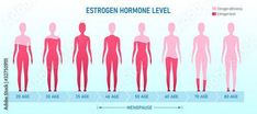 Download Creative vector illustration of estrogen hormone level, menopause chart infographic background. Female sex hormone template. Abstract concept estrogen level, representative testosterone charts Stock Vector and explore similar vectors at Adobe Stock. Infographic Background, Estrogen Hormone, Low Estrogen Symptoms, Chart Infographic, Abstract Concept, Low Estrogen, Magnesium Benefits, Musculoskeletal System, Child Psychology