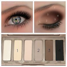 Naked Basics look...i have Naked2 but i use these colors most anyway! great for… Eye Makeup Guide, Makeup 101, Makeup For Hazel Eyes, Beautiful Eye Makeup, Makeup Guide, روتين العناية بالبشرة