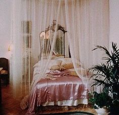 a bed with a white canopy over it next to a potted plant and window