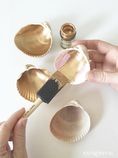 a person holding a brush over some seashells