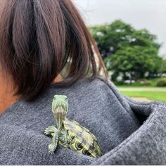 a close up of a person wearing a sweater with a turtle on it's back