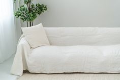 a white couch sitting next to a potted plant