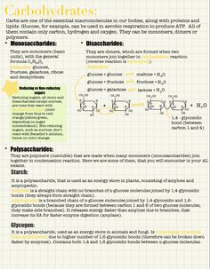 an info sheet describing the structure and properties of carbonobradies in chemicals