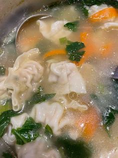 the soup is filled with dumplings, carrots and spinach in broth