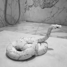 a large white snake is on the ground in a bathroom with marble walls and flooring