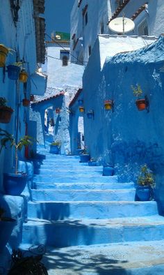 an alleyway with blue painted steps and potted plants