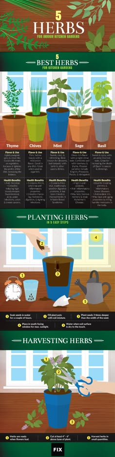 an info sheet showing the different types of plants in pots and potted planters