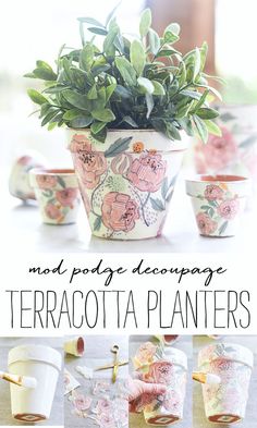 there is a potted plant with flowers in it and the words, not peddle decorations terracotta planters