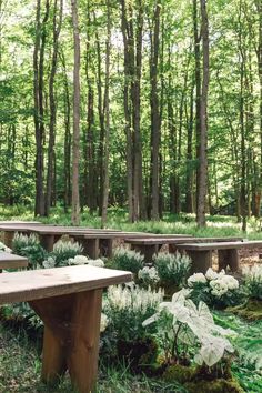 an empty bench in the middle of a forest with trees and plants around it,