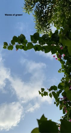 the sky is blue with clouds and green leaves