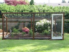 an outdoor garden with various plants and flowers