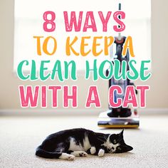 a black and white cat laying on the floor in front of a tv with text that reads 8 ways to keep a clean house with a cat