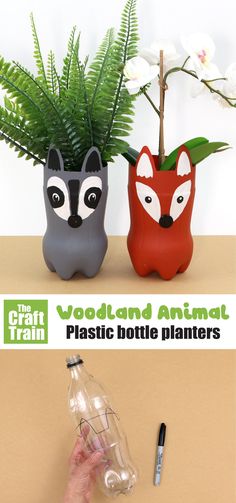 two plastic bottle planters with plants in them and the words wood and animal on top