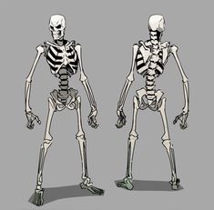 the skeleton is shown in three different positions, including one with its head turned to the side