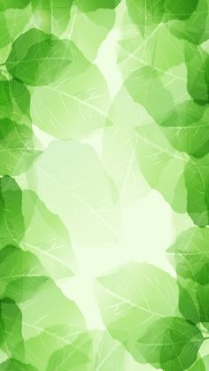 green leaves are arranged in the shape of an abstract background