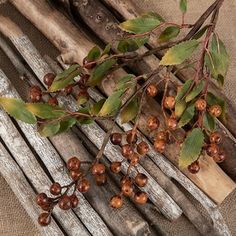 some berries are growing on the wooden planks