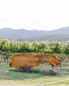 a large wooden sign sitting in the middle of a lush green field with mountains in the background