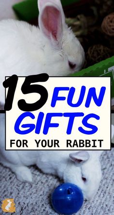 a white rabbit laying on top of a rug next to a blue ball with the words 15 fun gifts for your rabbit