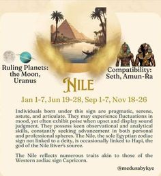 an advertisement for the nile festival