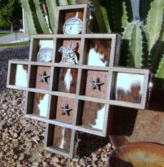 an assortment of decorative items displayed in front of a cactus