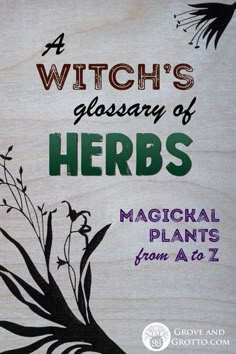 A Witch's glossary of herbs – Grove and Grotto Must Have Spices And Herbs, Lemon Oil Magical Properties, Wiccan Herbs And Uses, Bittersweet Nightshade Witchcraft, Herbs For Truth Spell, Most Common Herbs Used In Witchcraft, Hyssop Magical Properties, Herbs List