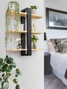 a bed room with a neatly made bed and some plants on the shelves next to it