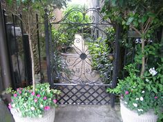 an iron gate is surrounded by potted plants