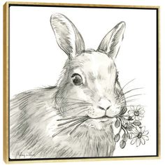 a pencil drawing of a rabbit holding a flower in its mouth and looking at the camera