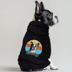 a dog wearing a black hoodie with the words buddy on it's chest