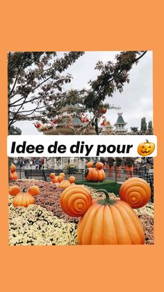 pumpkins in the middle of a field with words that read idee de diy pour