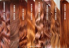 Copper Blonde Hair, Trendy We Fryzurach, Copper Blonde, Different Shades Of Red, Hair Color Formulas, Hair Color Chart, Copper Hair Color, Hair Color Auburn