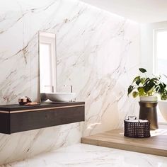 a bathroom with a sink, mirror and bathtub next to a potted plant