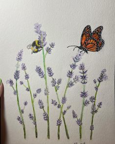 a drawing of two butterflies flying over lavender flowers with bees on the top and bottom