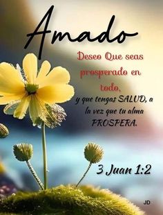 a yellow flower sitting on top of a lush green field with the words amado written in spanish