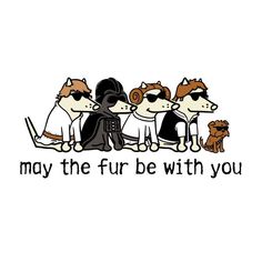 three dogs sitting next to each other with the words may the fur be with you