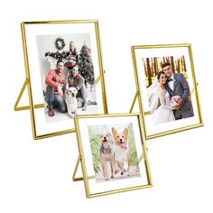 three gold frames with pictures of people and dogs on them, one has a christmas tree in the background