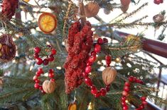 a christmas tree decorated with dried fruits and nuts