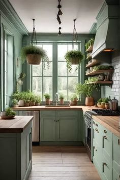 a kitchen filled with lots of green cabinets and potted plants on the windowsill