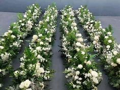 white flowers and greenery are arranged in rows