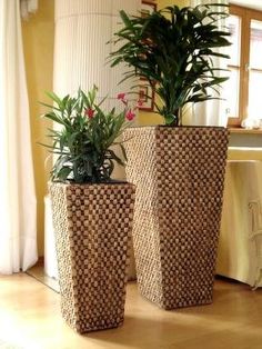 two large planters sitting on top of a hard wood floor