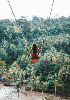 a woman in an orange dress is swinging from a rope over a river surrounded by palm trees