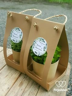 two brown paper bags with plants in them