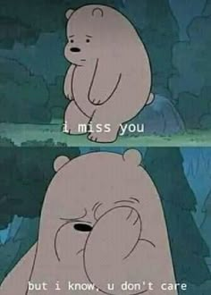 two cartoon bears with the caption 4 miss you but i know u don't care