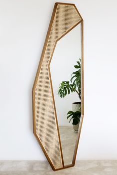 a mirror that is next to a potted plant on a table with a white wall in the background