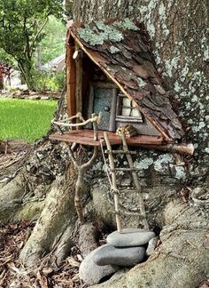 a tree house built into the side of a tree with rocks in front of it