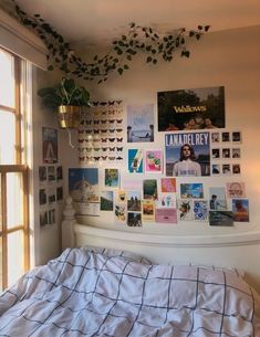 there is a bed with many pictures on the wall and a plant hanging above it