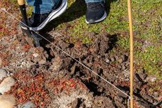 a person standing on top of a pile of dirt next to a tree stump with two poles