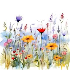 watercolor painting of wildflowers and grasses