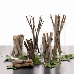 several glass vases filled with sticks and leaves on top of a wooden table next to each other