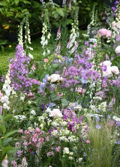 a garden filled with lots of purple and white flowers